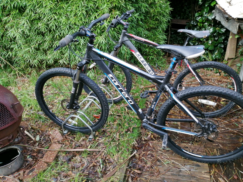 carrera vengeance blue and white